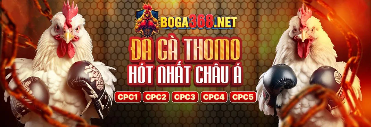 Lời chứng thực từ các đối tác 789clup